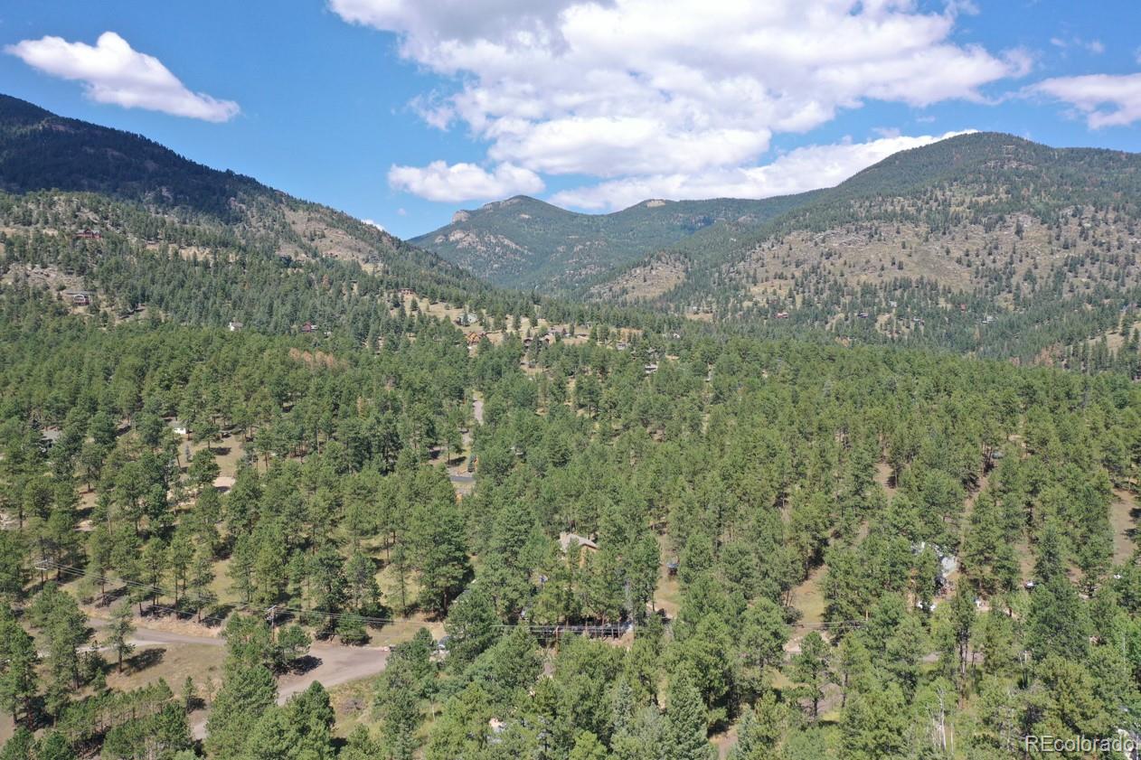 425 Patty Drive Evergreen, CO 80439 - Photo 41 of 43 a view of a forest with mountains in the background