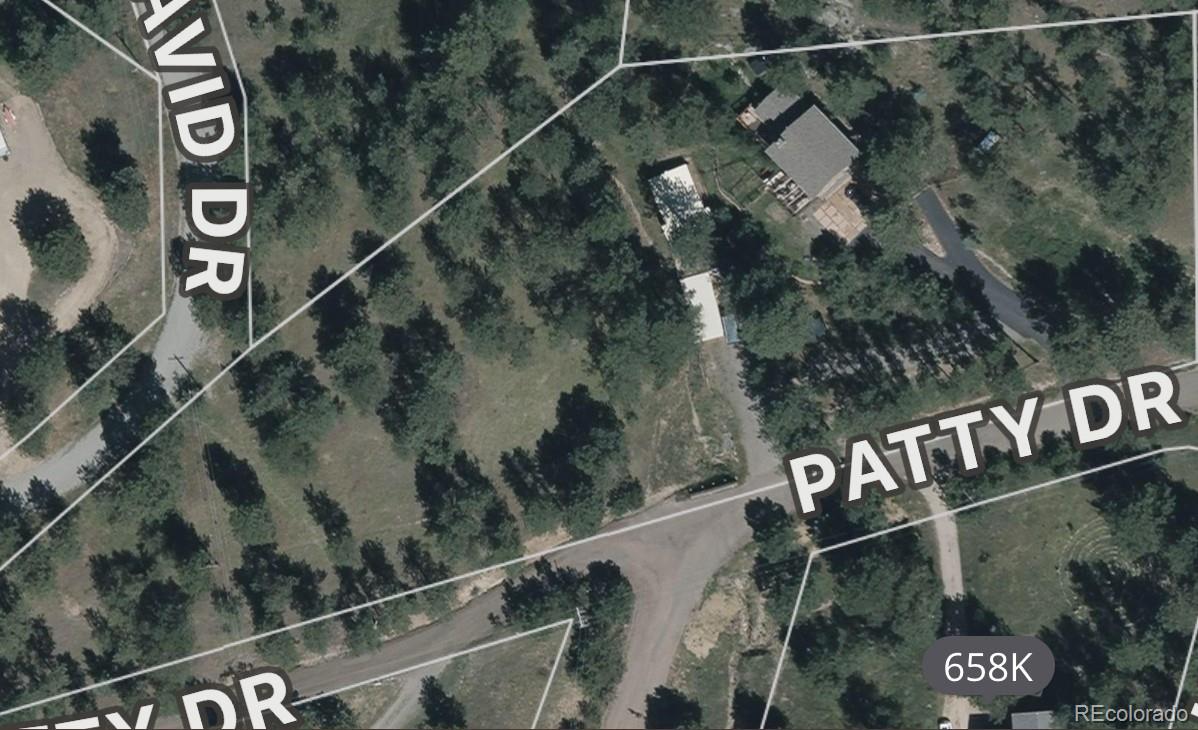 425 Patty Drive Evergreen, CO 80439 - Photo 43 of 43 a close up of a street sign