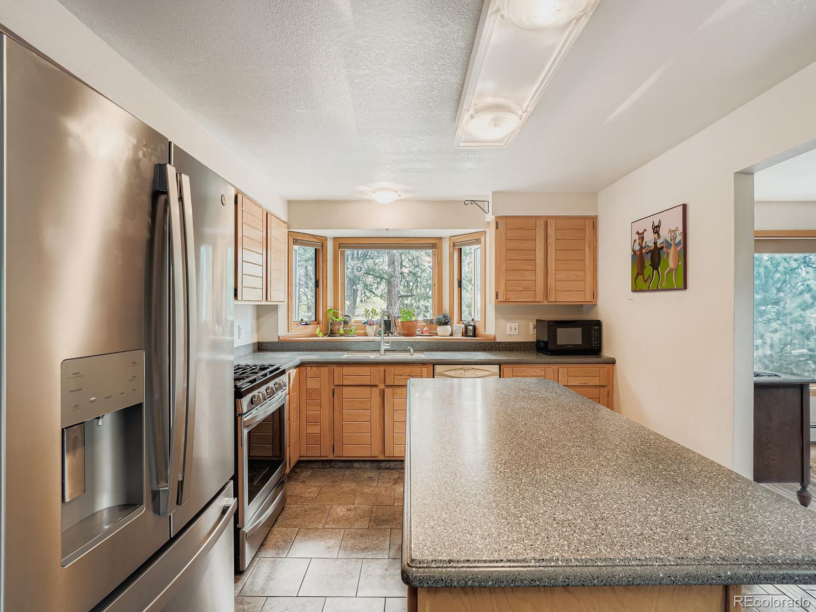 425 Patty Drive Evergreen, CO 80439 - Photo 9 of 43 a kitchen with stainless steel appliances granite countertop a stove a sink and a refrigerator