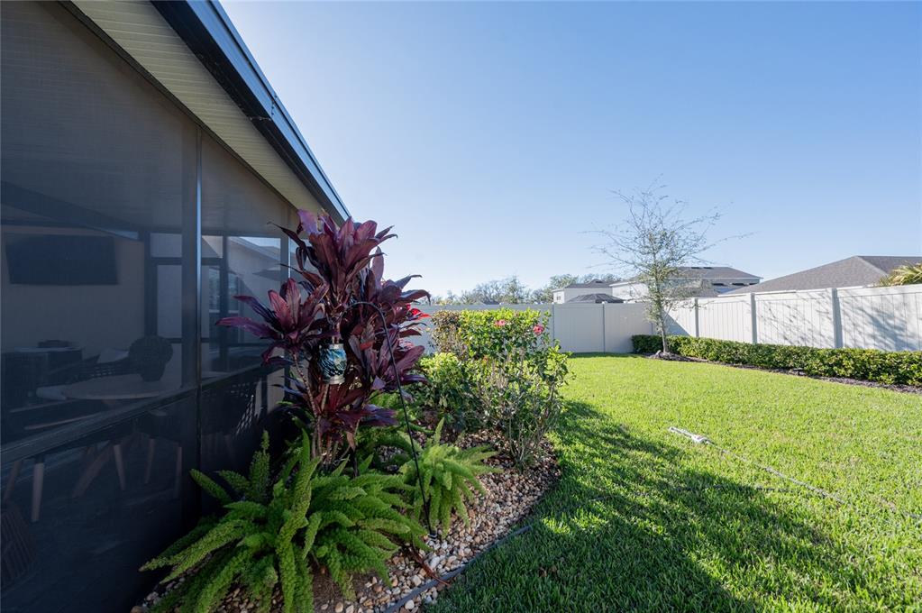 6236 Springmont Loop Palmetto, FL 34221 - Photo 33 of 55 a backyard of a house with lots of green space