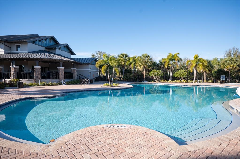 6236 Springmont Loop Palmetto, FL 34221 - Photo 50 of 55 a view of a swimming pool with a patio