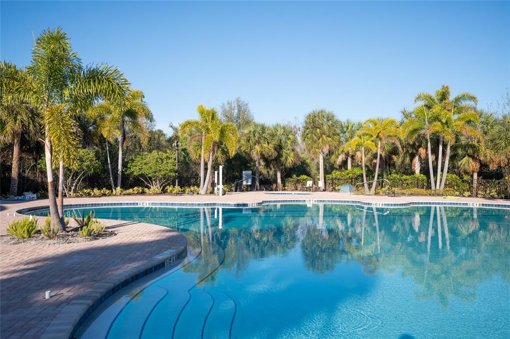 6236 Springmont Loop Palmetto, FL 34221 - Photo 51 of 55 a view of swimming pool with sitting area and garden
