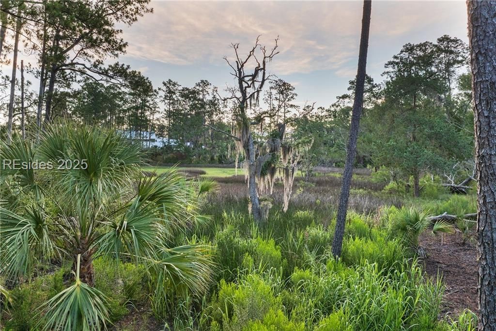 417 Corley Street Bluffton, SC 29910 - Photo 4 of 79