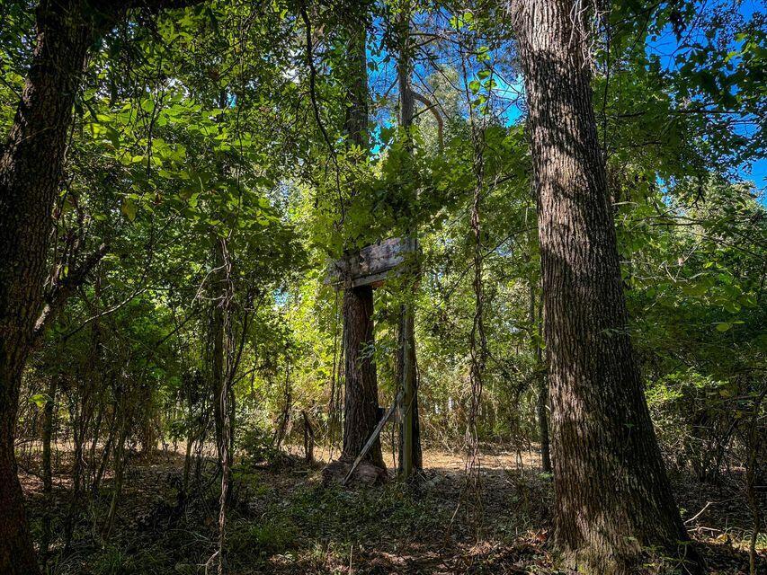 1 Hard Pinch Road Moncks Corner, SC 29461 - Photo 7 of 16