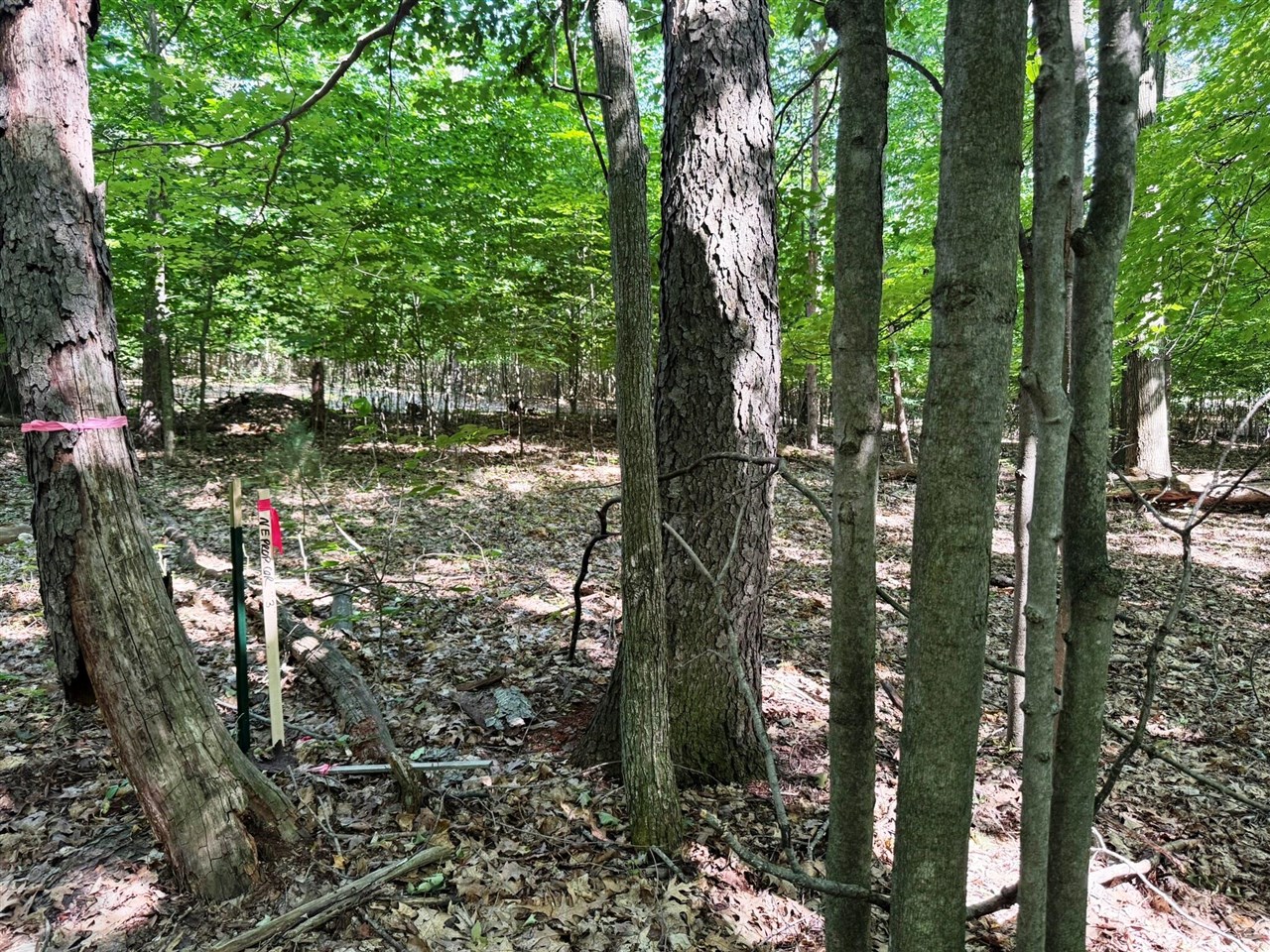0 West Adams Road Hesperia, MI 49421 - Photo 3 of 74