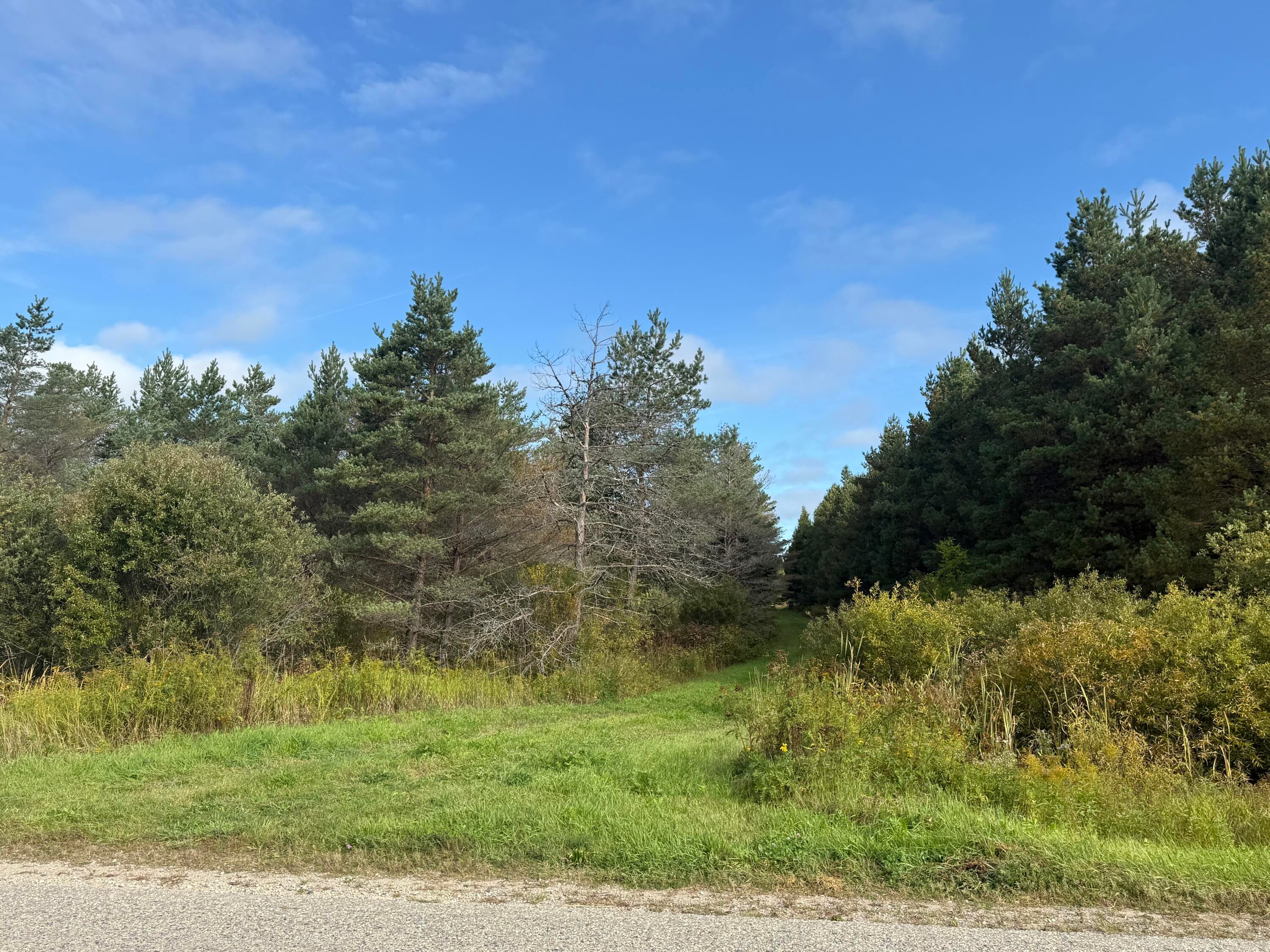 Tbd East Gogomain Road Pickford, MI 49774 - Photo 2 of 14 Gallery Image 2