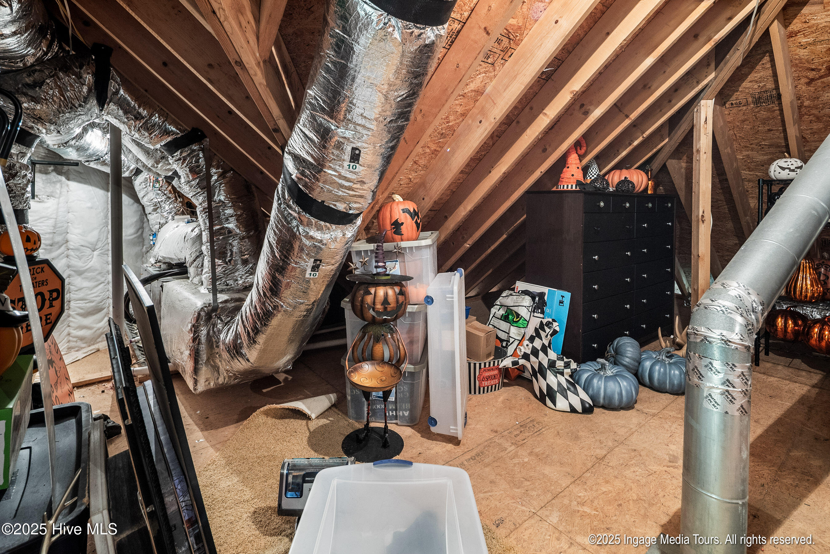 3860 Dixie Ridge Lane Grimesland, NC 27837 - Photo 50 of 89 20251021 MLS L_Stancil 3860 Dixie Ridge