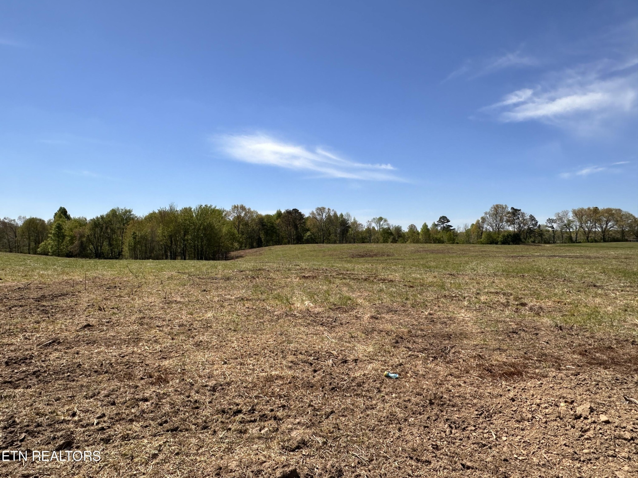 1369 Marie Harris Road Jamestown, TN 38556 - Photo 4 of 9 Gallery Image 4