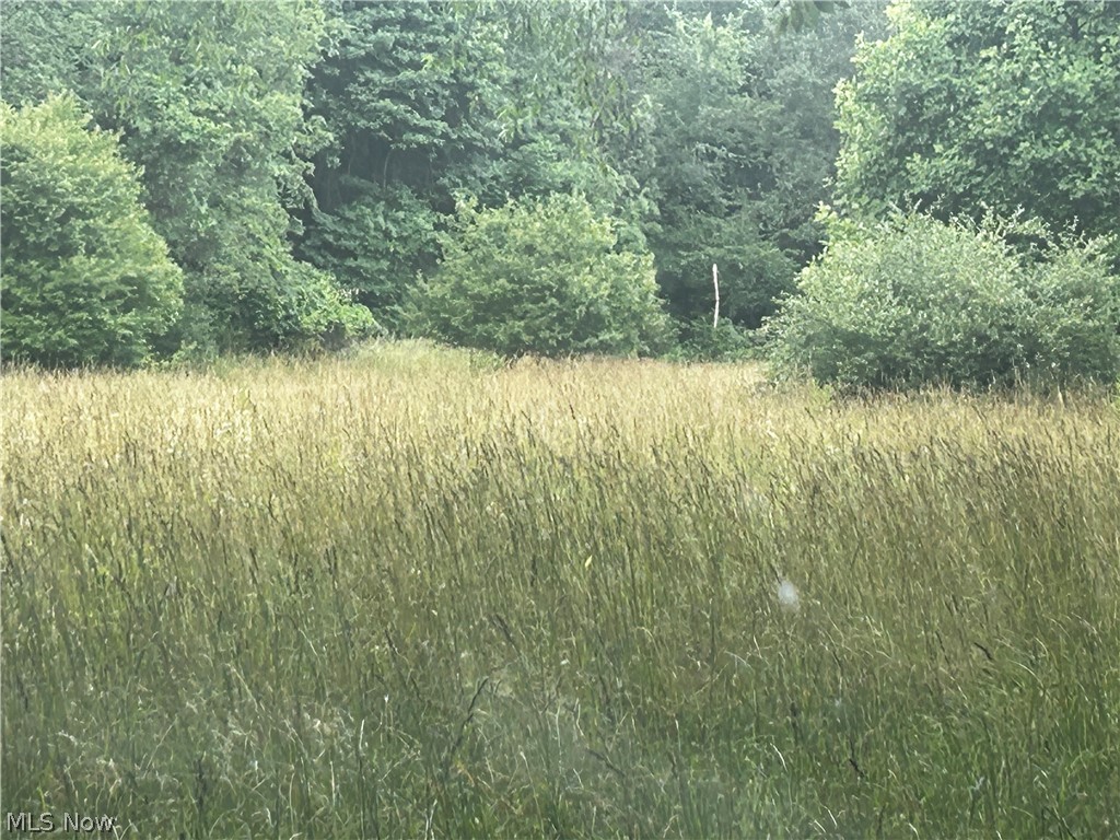 5742 Grove Road Clinton, OH 44216 - Photo 26 of 37 Field Farmer Cuts