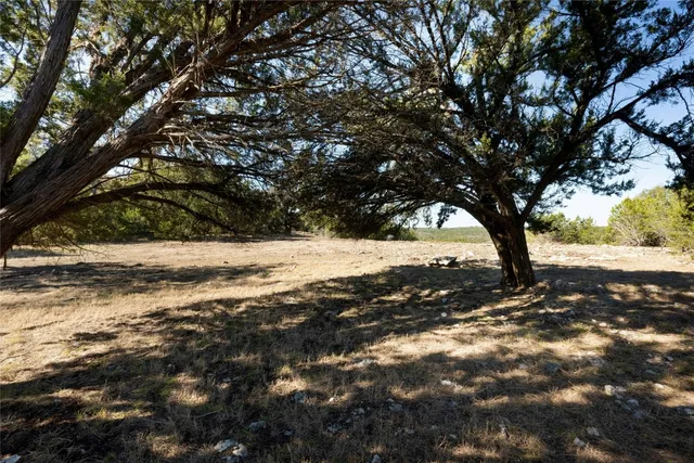 $575,000 | 736 Covered Bridge Drive, Driftwood, TX 78619