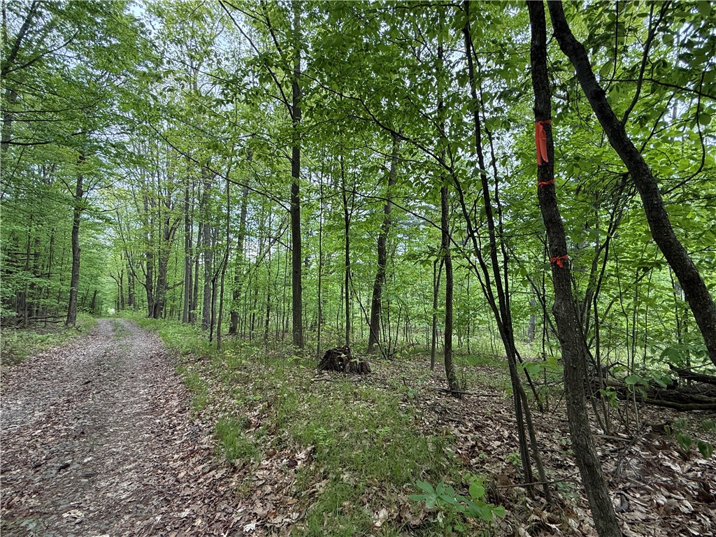 Hawley Road Bradford, NY 14815 - Photo 7 of 42