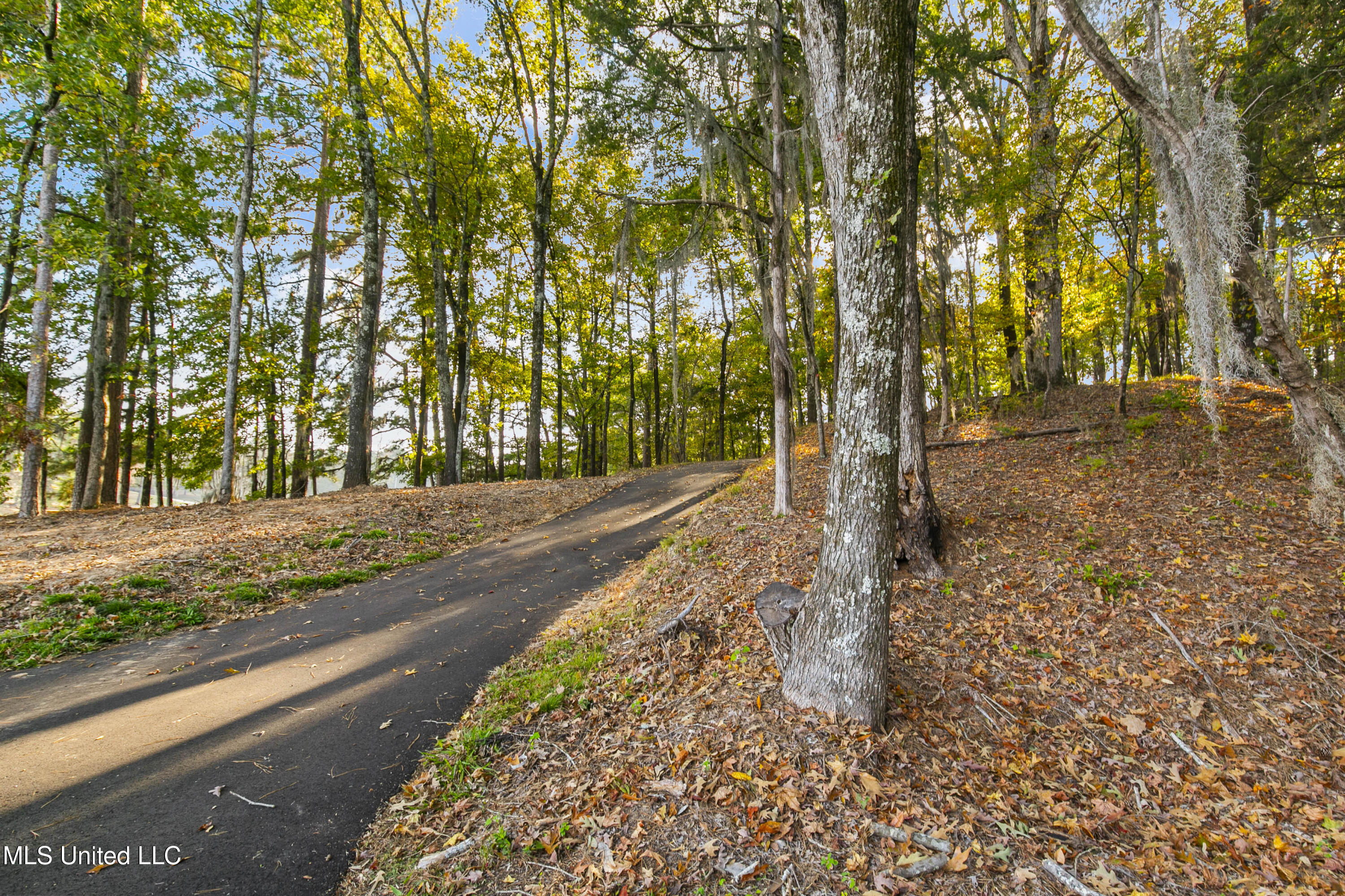 1609 Southwest Linda Drive Clinton, MS 39056 - Photo 102 of 110 1609 SW Linda-103