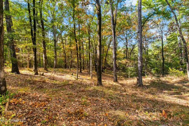 $724,000 | 1609 Southwest Linda Drive, Clinton, MS 39056