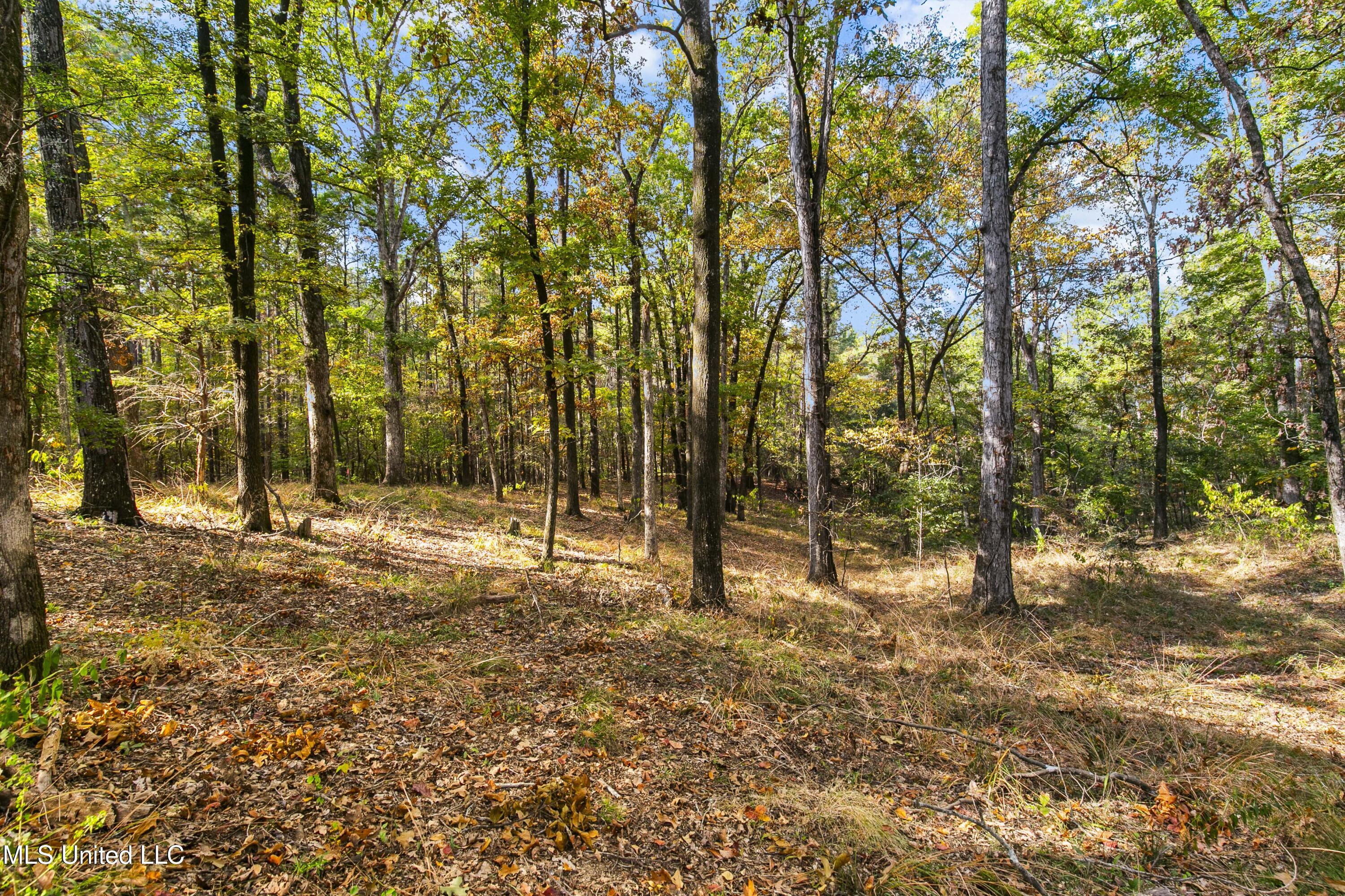 1609 Southwest Linda Drive Clinton, MS 39056 - Photo 85 of 110 1609 SW Linda-79
