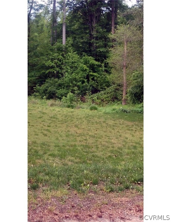 0 Lakeview Road Quinton, VA 23141 - Photo 1 of 11 Gallery Image 1