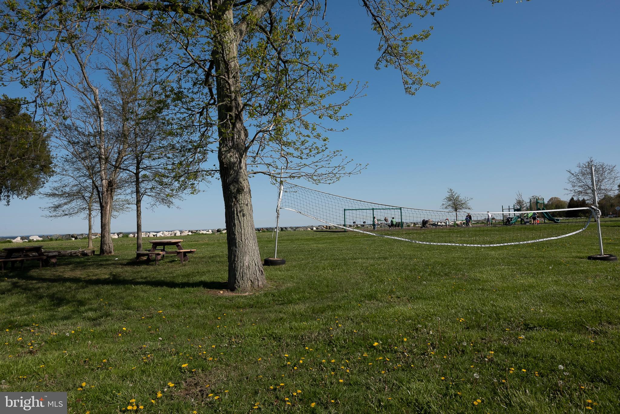 1199 Oak Avenue Shady Side, MD 20764 - Photo 28 of 32 Cedarhurst on the Bay Volleyball