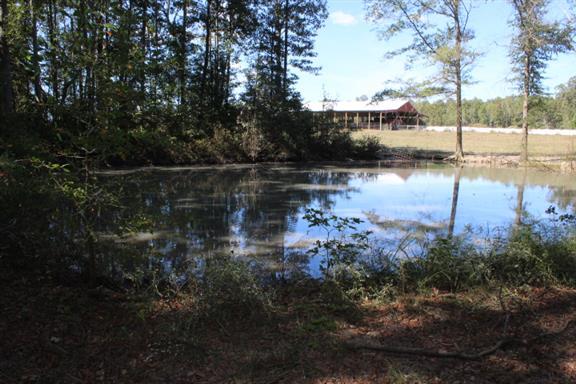 2344 Doyle Frazier Road Morrison, TN 37357 - Photo 20 of 24 Stocked pond in woods behind the house. This property is 8.24 acres and surrounded by farms.