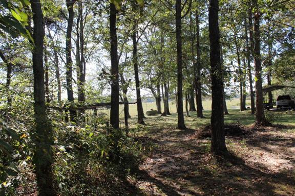 2344 Doyle Frazier Road Morrison, TN 37357 - Photo 23 of 24 tree lined area in front of home.