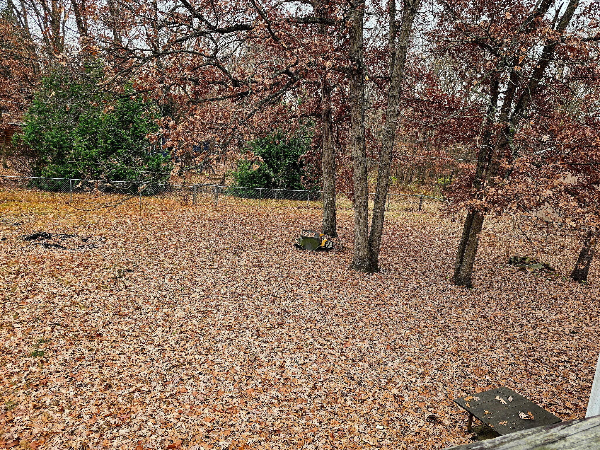 11535 Sandhill Trail Demotte, IN 46310 - Photo 31 of 31 a view of outdoor space with trees