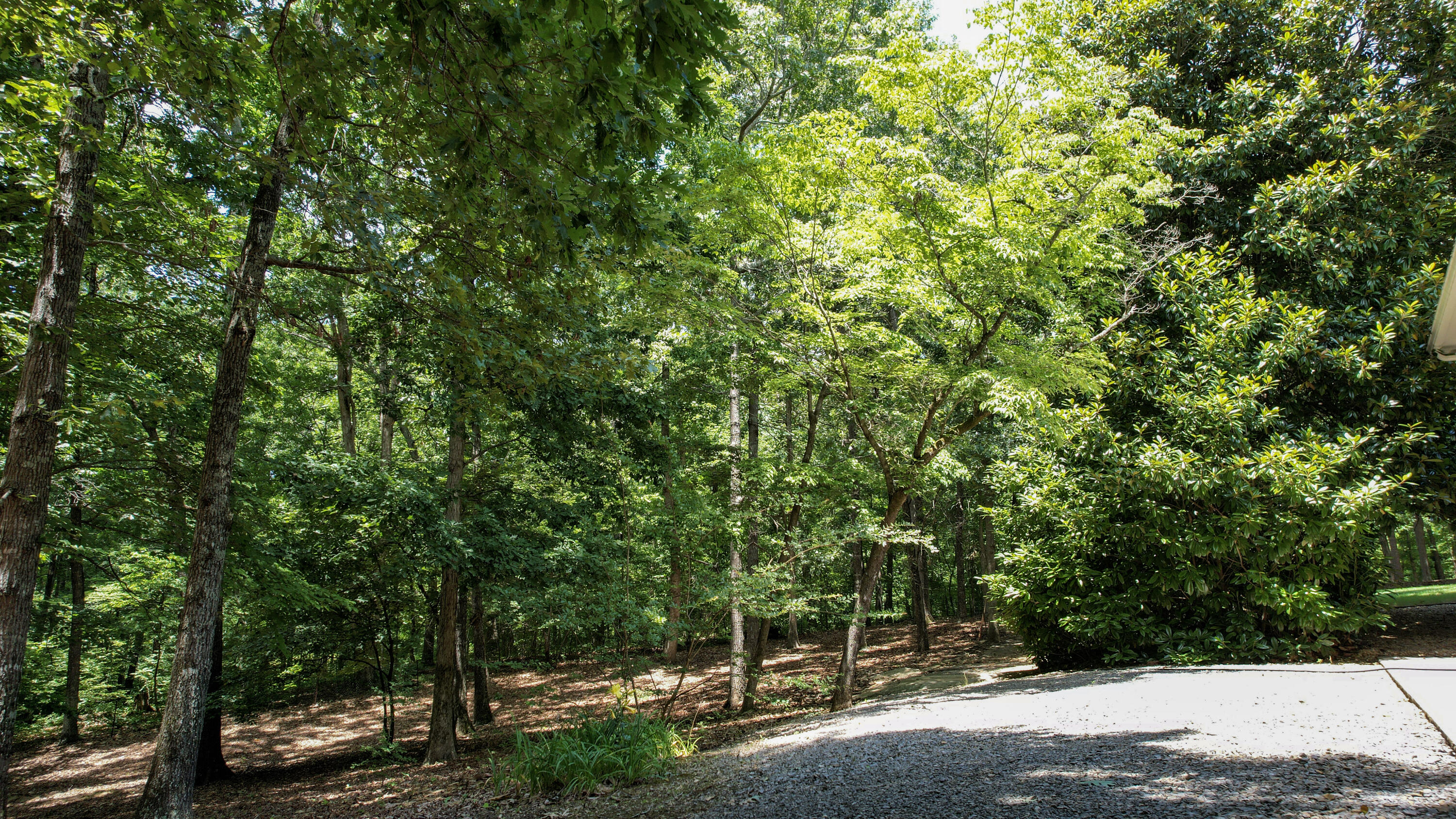 199 Lewis Lane Road Northeast Cleveland, TN 37312 - Photo 95 of 127 30-DJI_0856