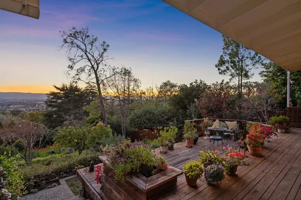 a view of a garden with plants and large trees