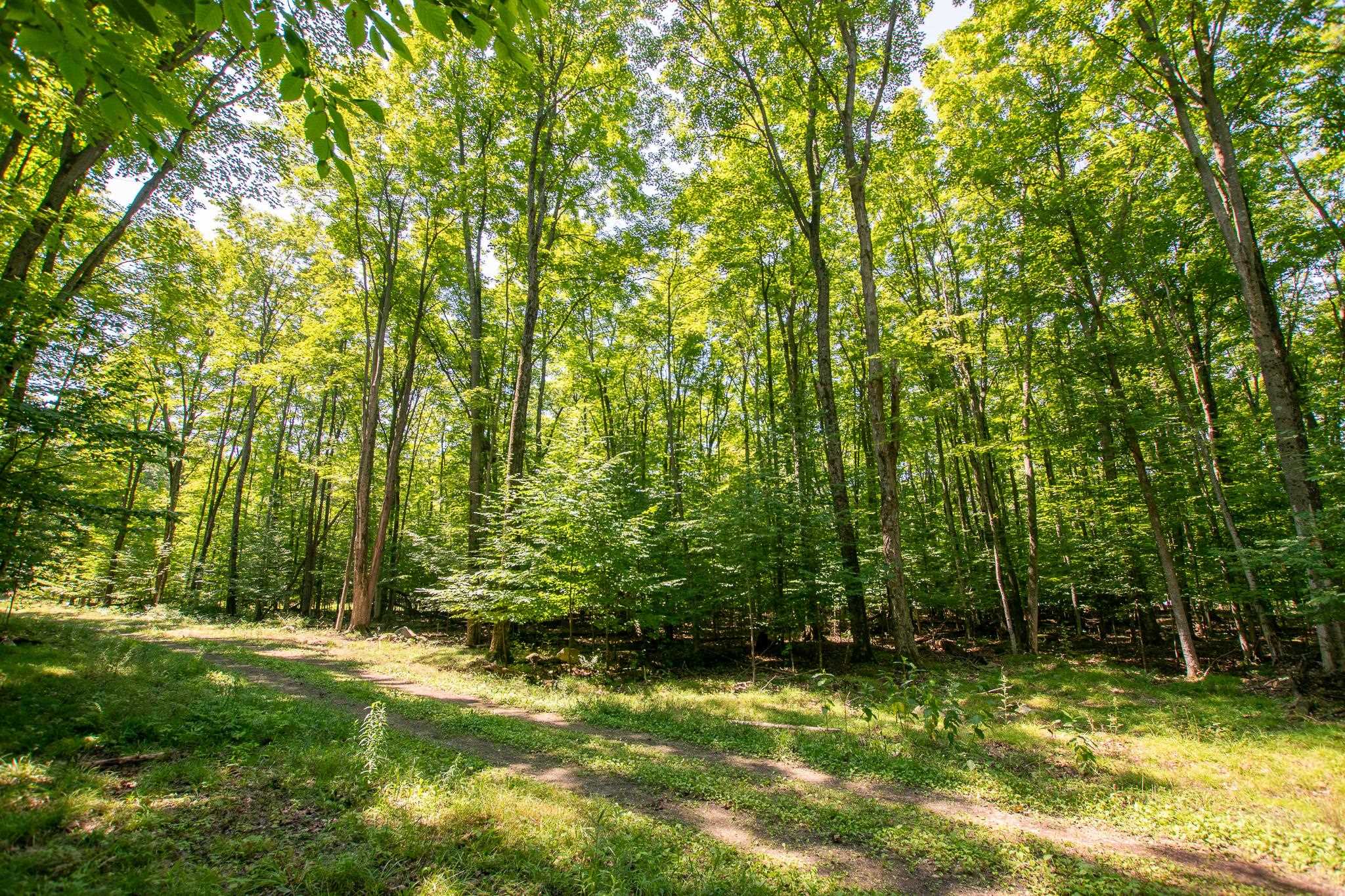 0 Tompkins Wds Road Traverse City, MI 49686 - Photo 27 of 45 Gallery Image 27