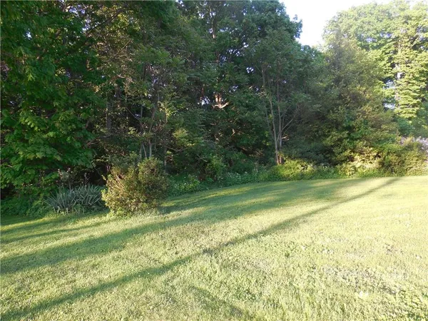 a view of yard with green space