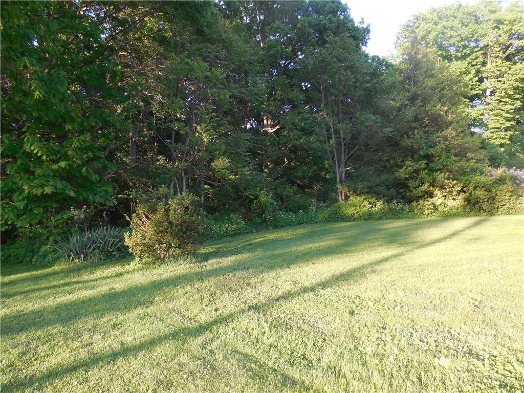 a view of yard with green space