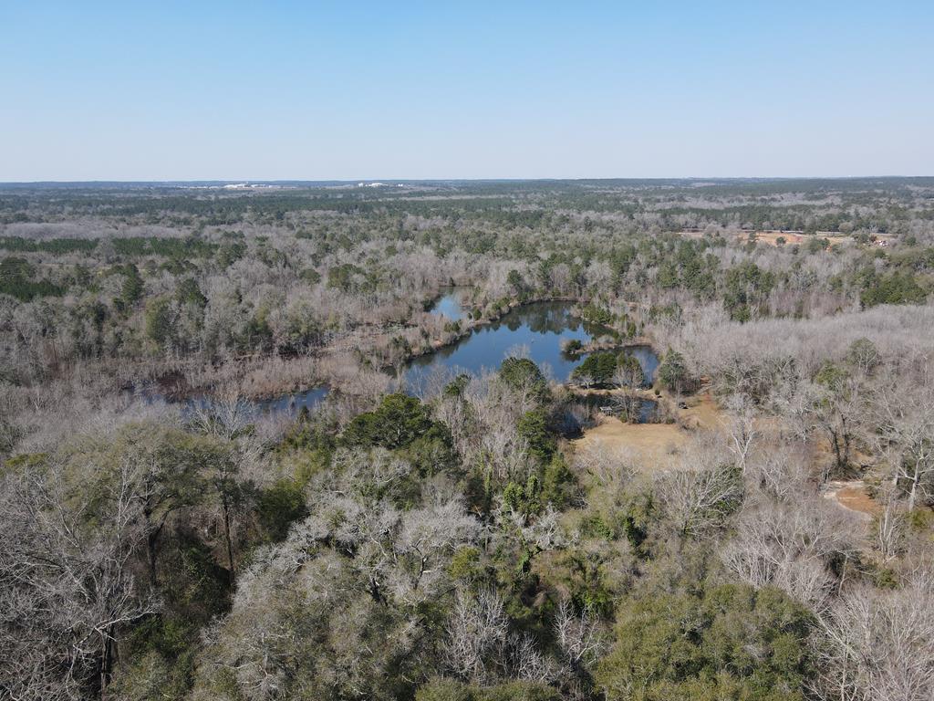 Undisclosed Address Ariton, AL 36311 - Photo 10 of 17