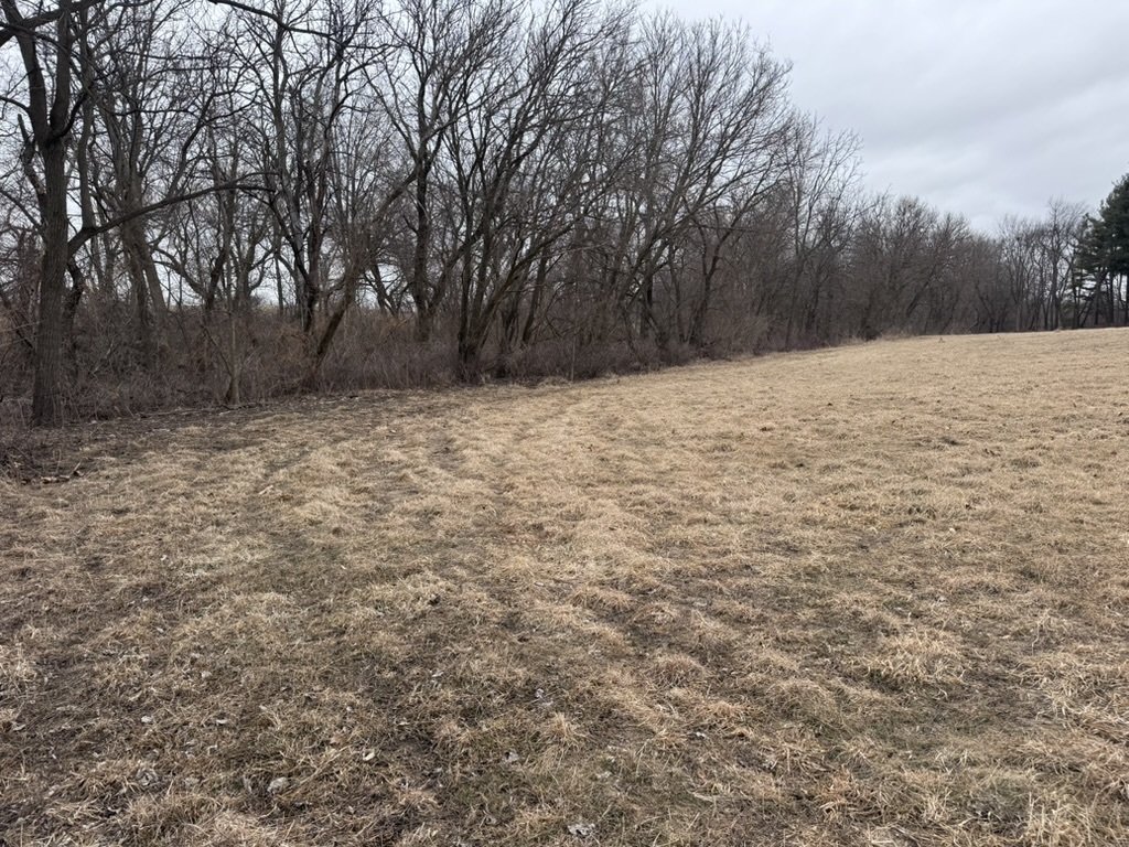 0 Shaw Road Compton, IL 61318 - Photo 7 of 25