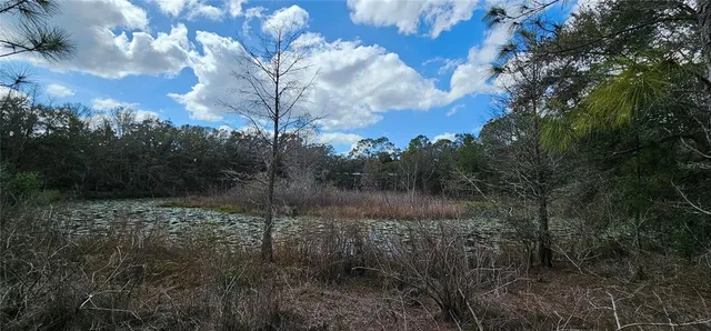 $474,000 | 17932 Wendy Sue Avenue, Hudson, FL 34667