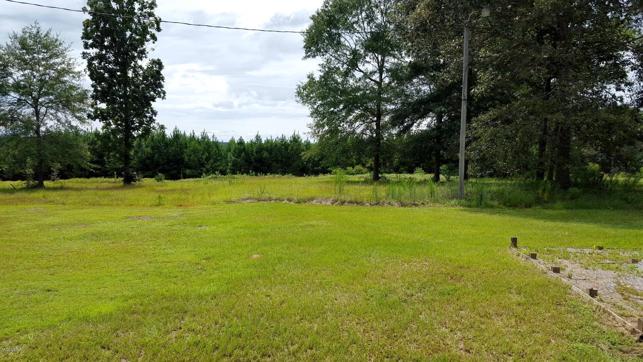 3173 Dickerson Sawmill Road Lucedale, MS 39452 - Photo 13 of 14 13 backyard
