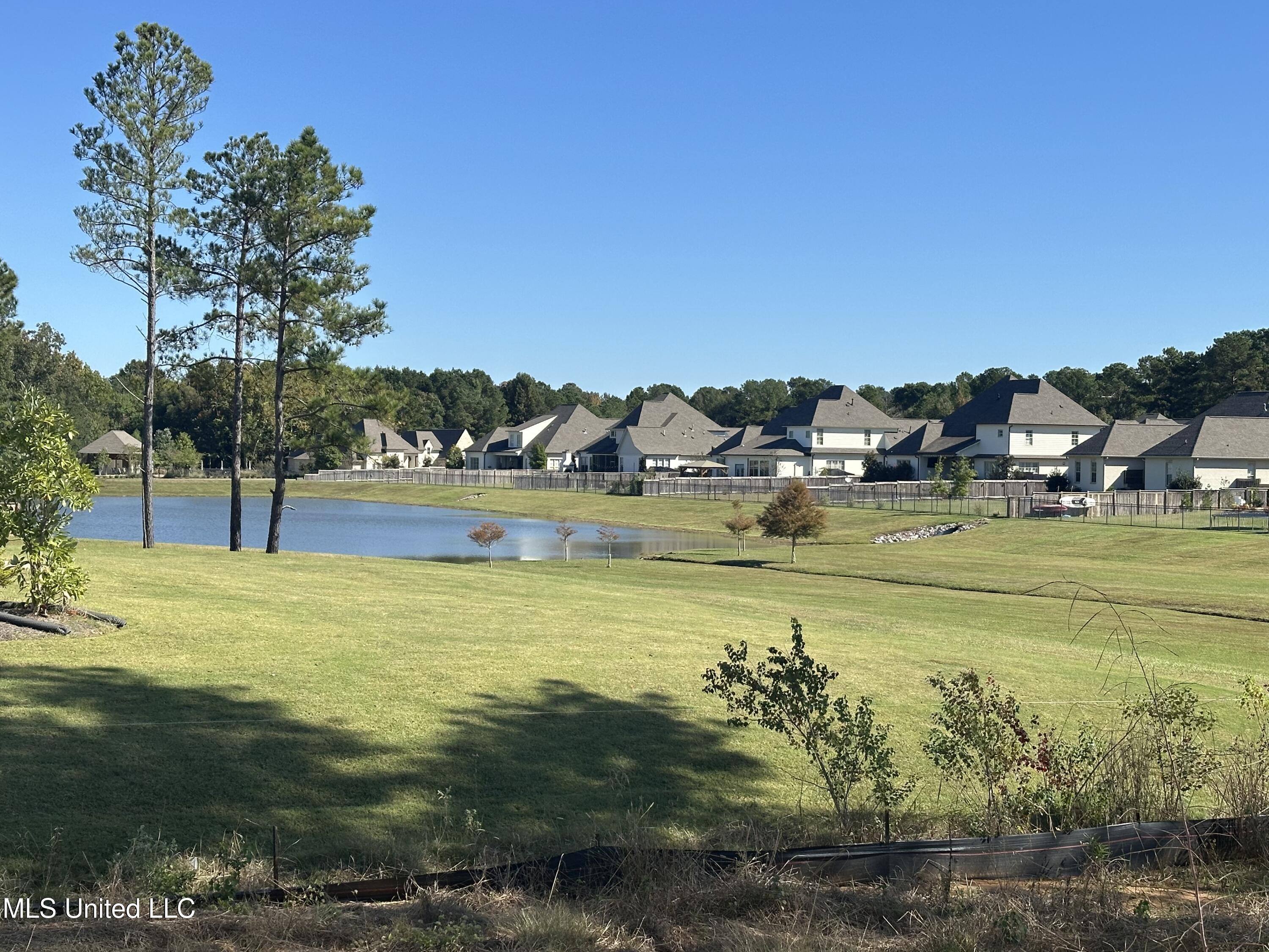 441 West Oak Circle Madison, MS 39110 - Photo 41 of 41 IMG_8630