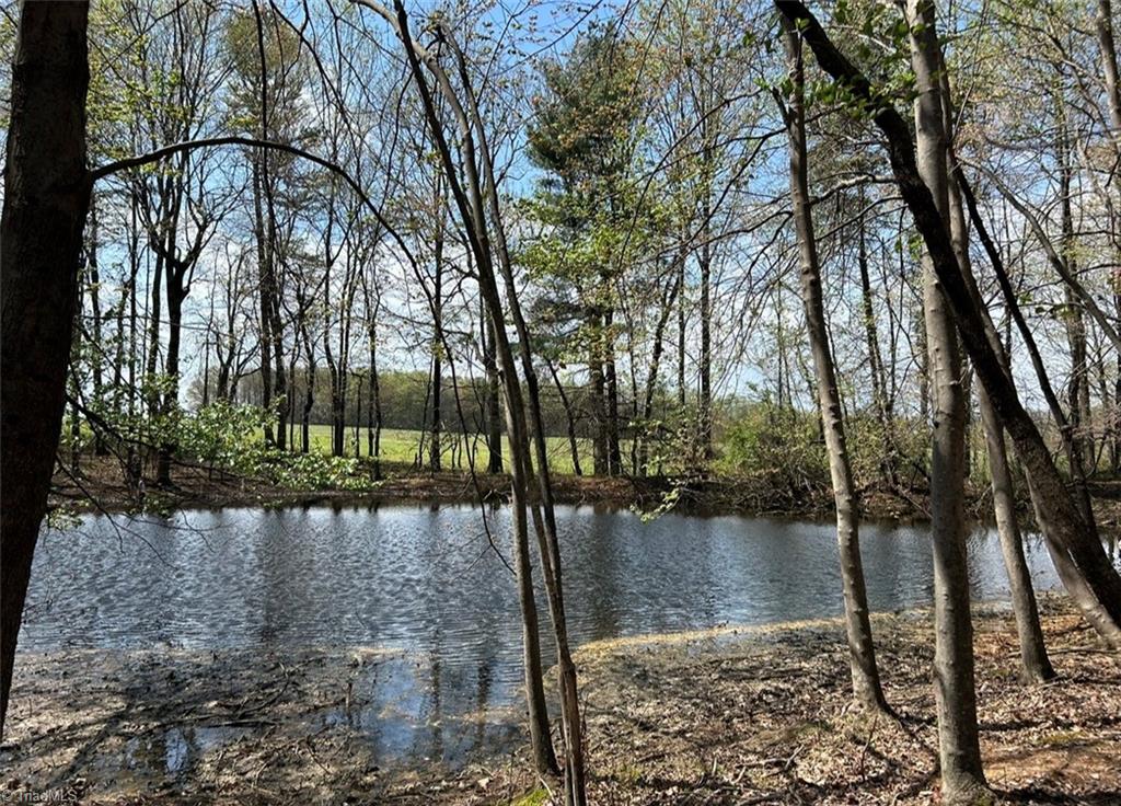 Tbd Caves Mill Road Dobson, NC 27017 - Photo 12 of 16