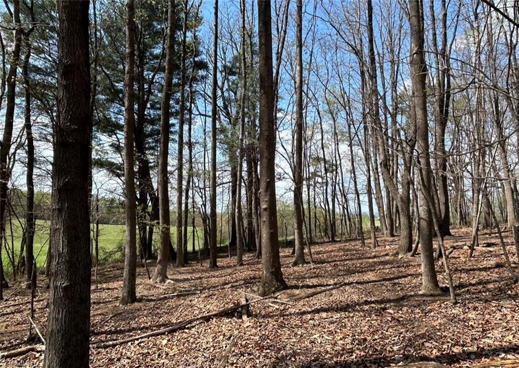 Tbd Caves Mill Road Dobson, NC 27017 - Photo 13 of 16