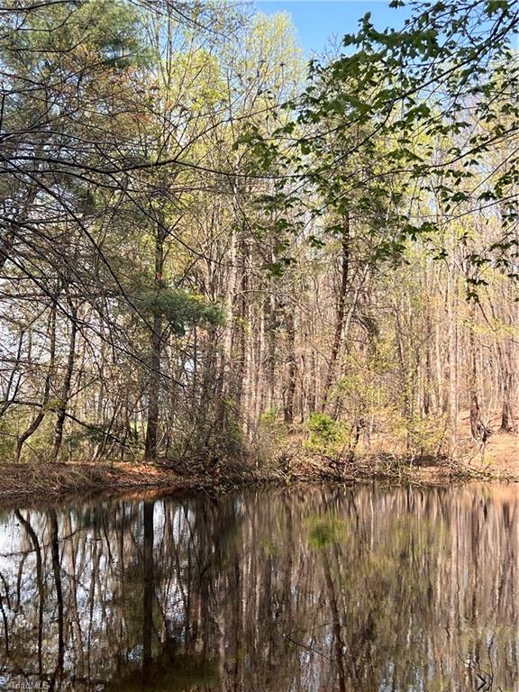 Tbd Caves Mill Road Dobson, NC 27017 - Photo 2 of 16