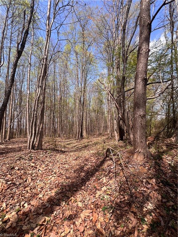 Tbd Caves Mill Road Dobson, NC 27017 - Photo 3 of 16