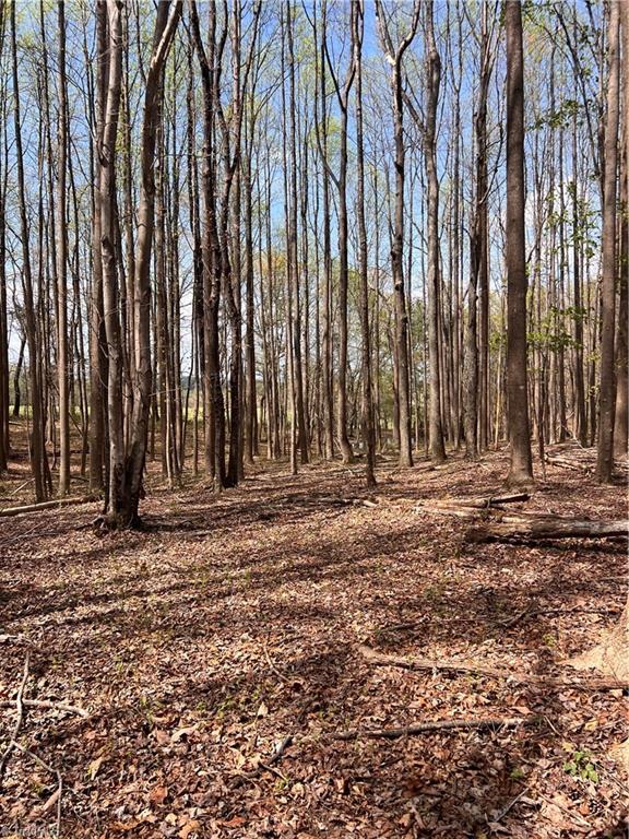 Tbd Caves Mill Road Dobson, NC 27017 - Photo 4 of 16