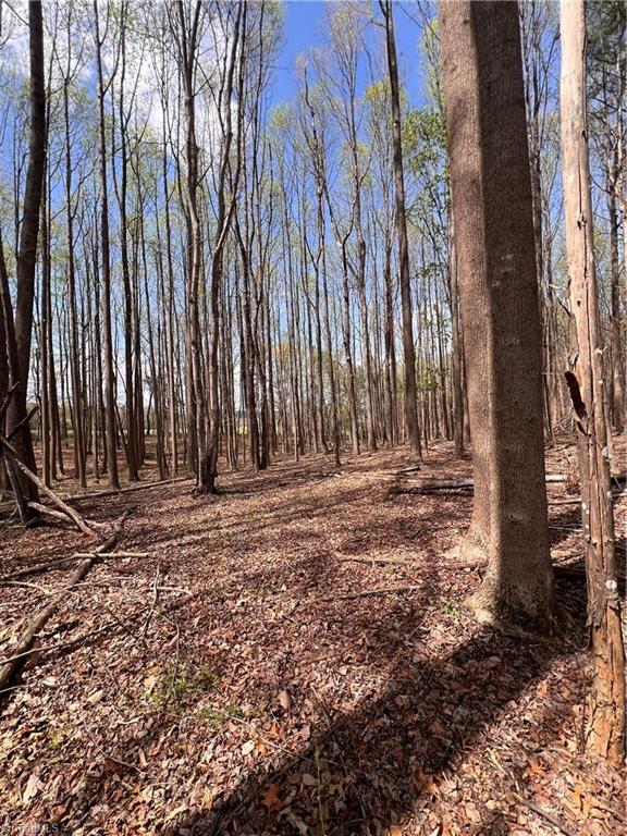 Tbd Caves Mill Road Dobson, NC 27017 - Photo 5 of 16