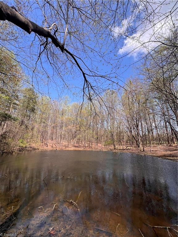Tbd Caves Mill Road Dobson, NC 27017 - Photo 6 of 16