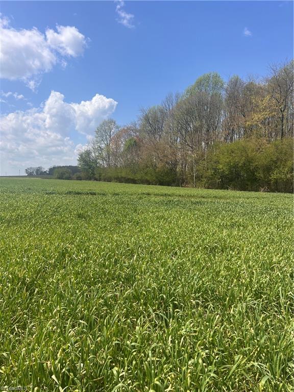 Tbd Caves Mill Road Dobson, NC 27017 - Photo 9 of 16