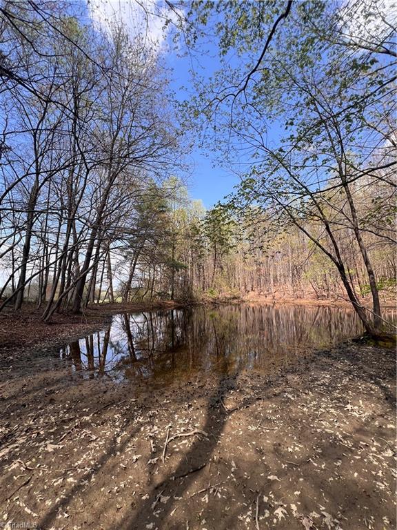 Tbd Caves Mill Road Dobson, NC 27017 - Photo 10 of 16