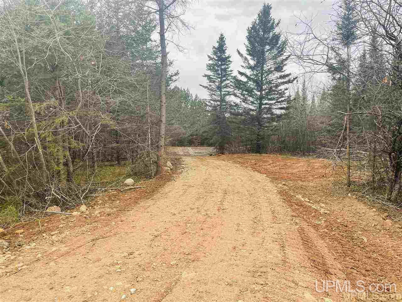 Tbd St Nicholas Road Rock, MI 49880 - Photo 12 of 22