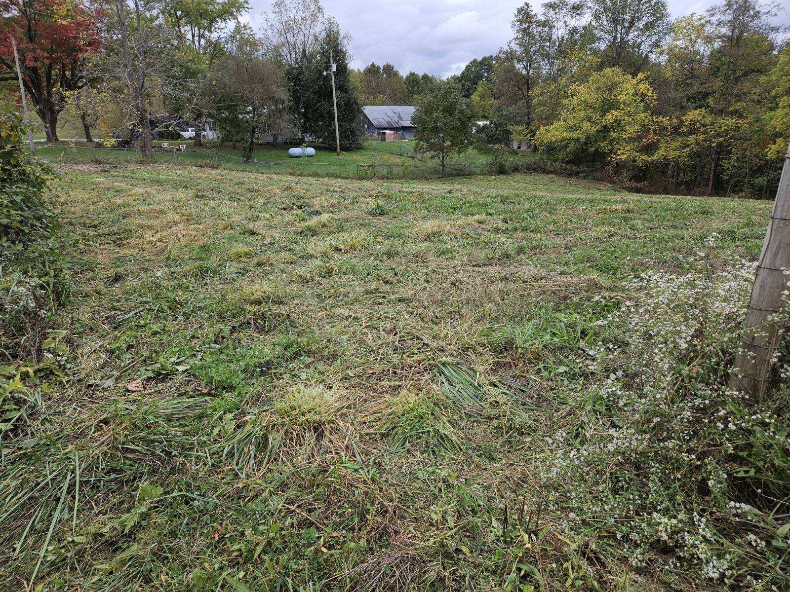 6033 Red Hill Road Livingston, KY 40445 - Photo 14 of 43 11