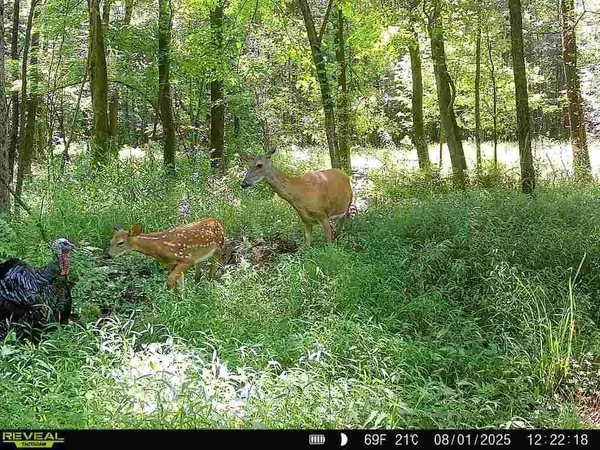 $259,000 | 0 Sr 258, Grove City, PA 16127