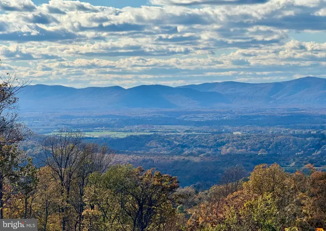 a view of a lake with a mountain in the background