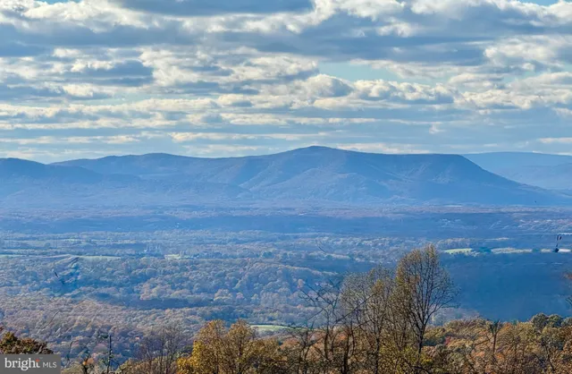 a view of yard and mountain in back