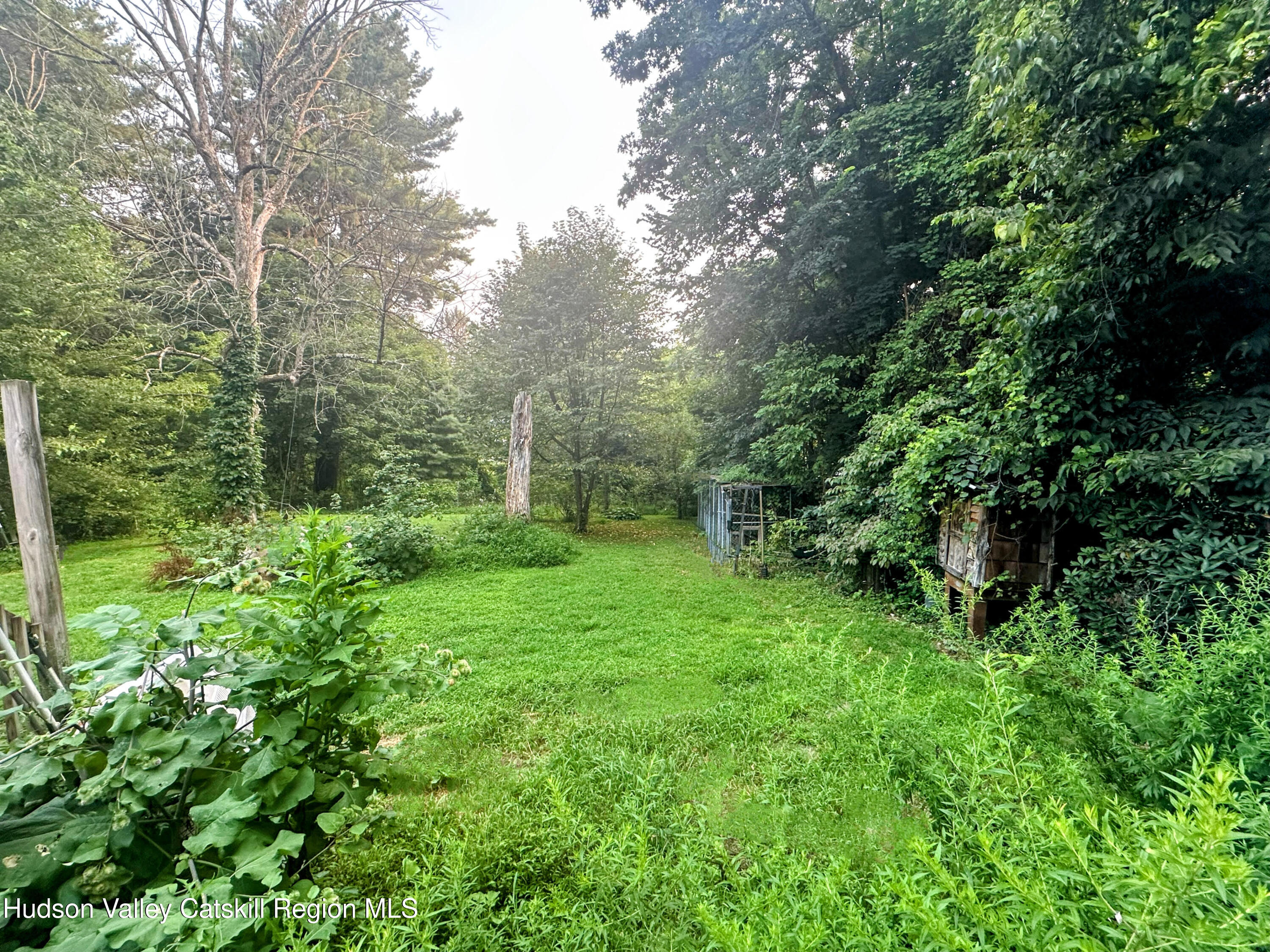 16 Field Road Greenville, NY 12083 - Photo 13 of 22 a view of a lush green forest