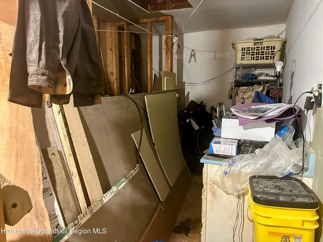 a view of a lush green forest