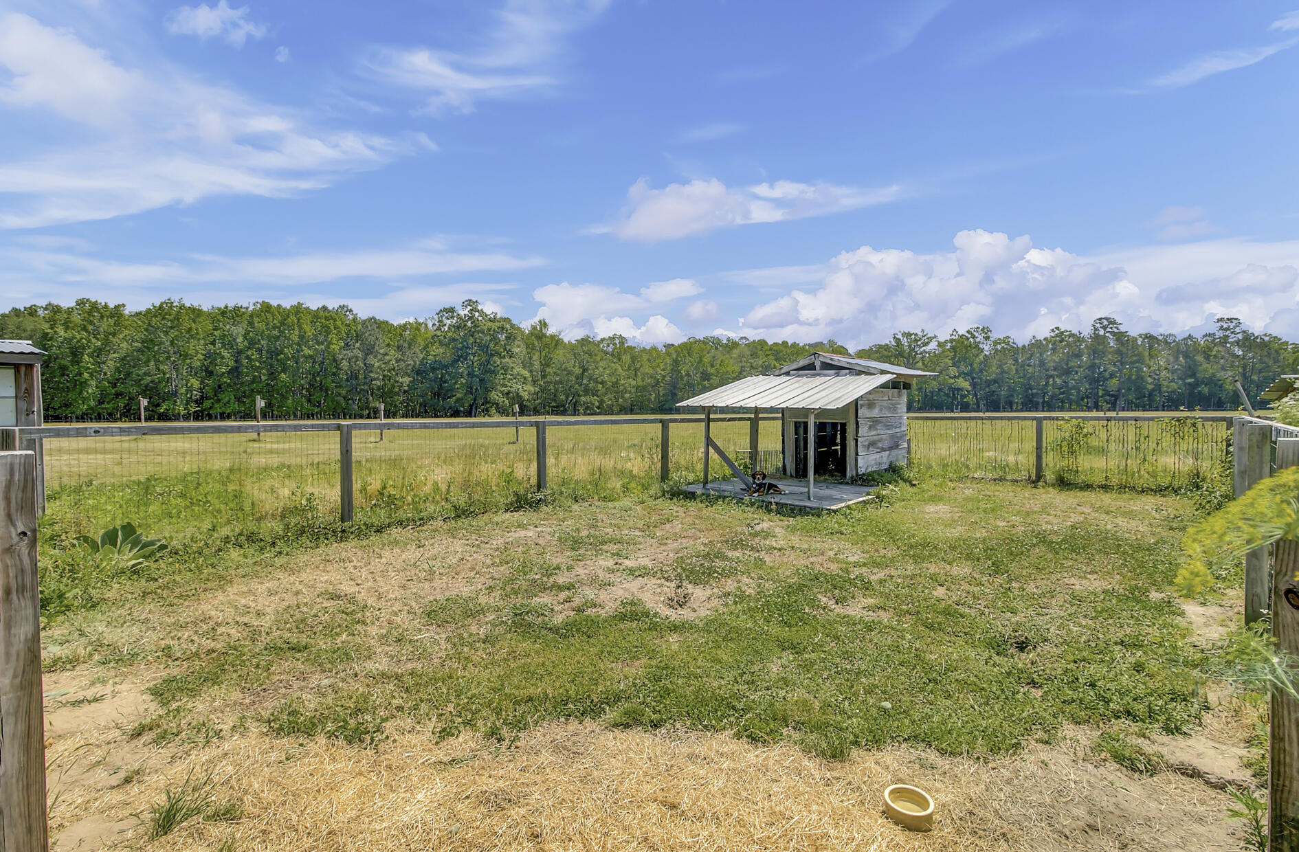 7170 A Bull Run Lane Adams Run, SC 29426 - Photo 32 of 38 7170 Bull Run Ln - Dog Pen 1